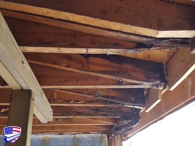 16-rafter-wall-framing-repair-oak-lawn-1
